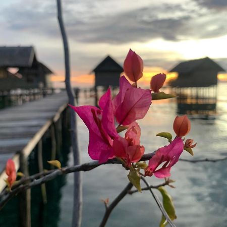 Nyanse Homestay - Raja Ampat Besir Esterno foto