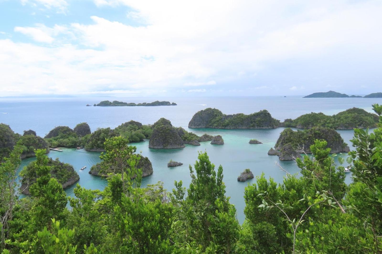 Nyanse Homestay - Raja Ampat Besir Esterno foto
