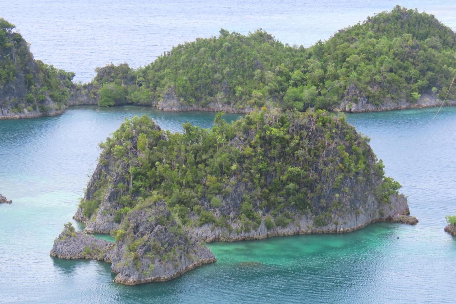 Nyanse Homestay - Raja Ampat Besir Esterno foto