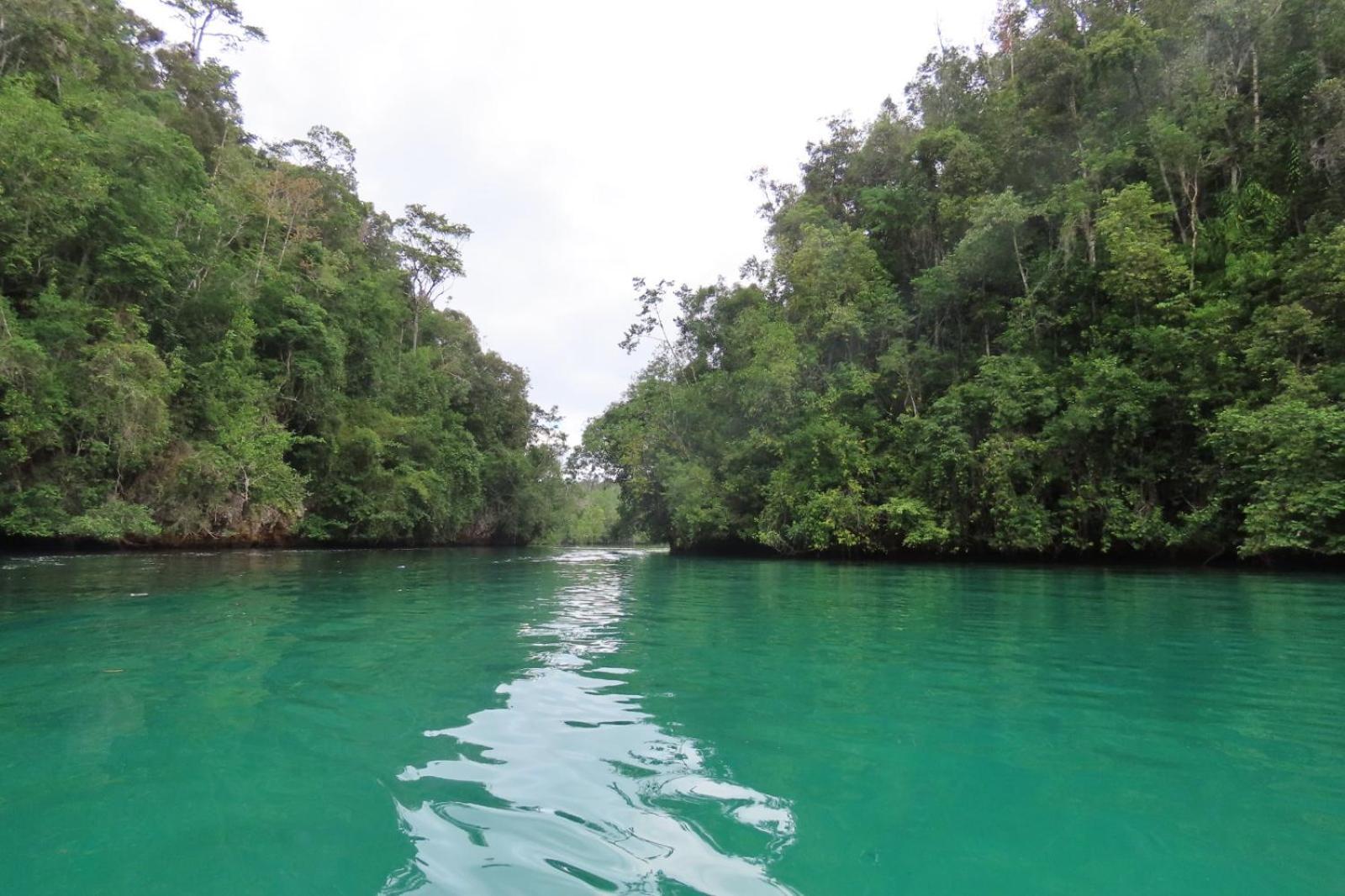 Nyanse Homestay - Raja Ampat Besir Esterno foto
