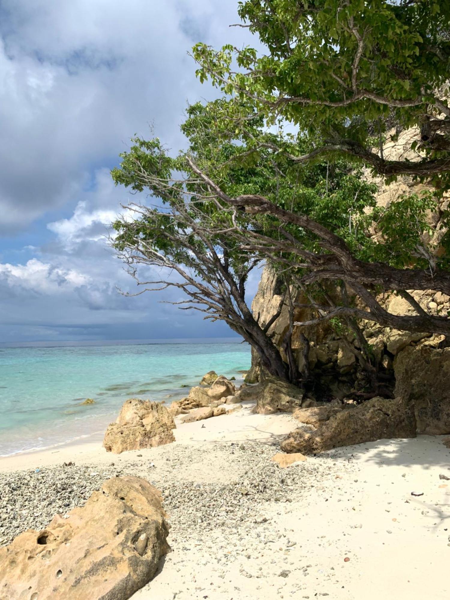 Nyanse Homestay - Raja Ampat Besir Esterno foto