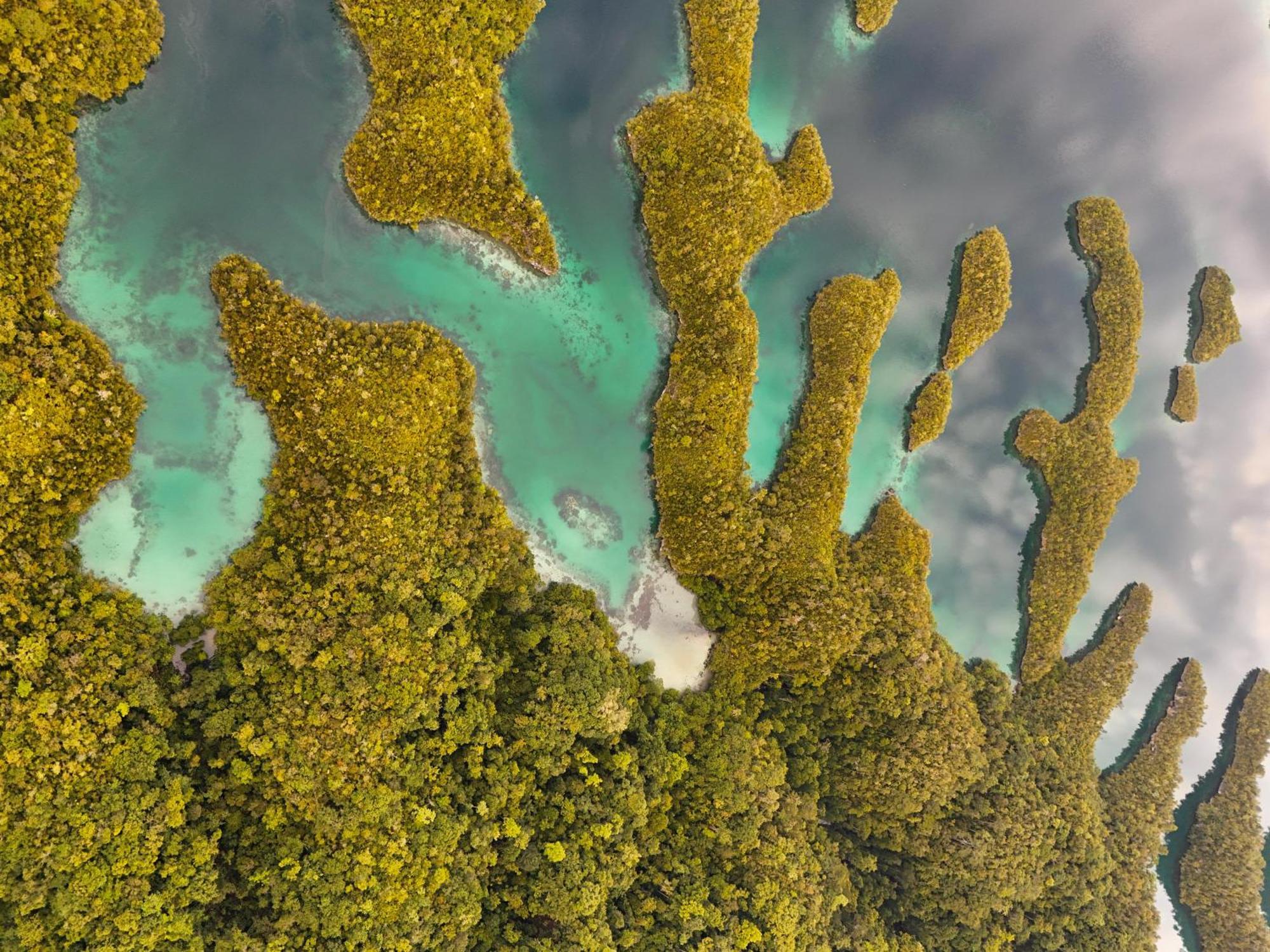 Nyanse Homestay - Raja Ampat Besir Esterno foto