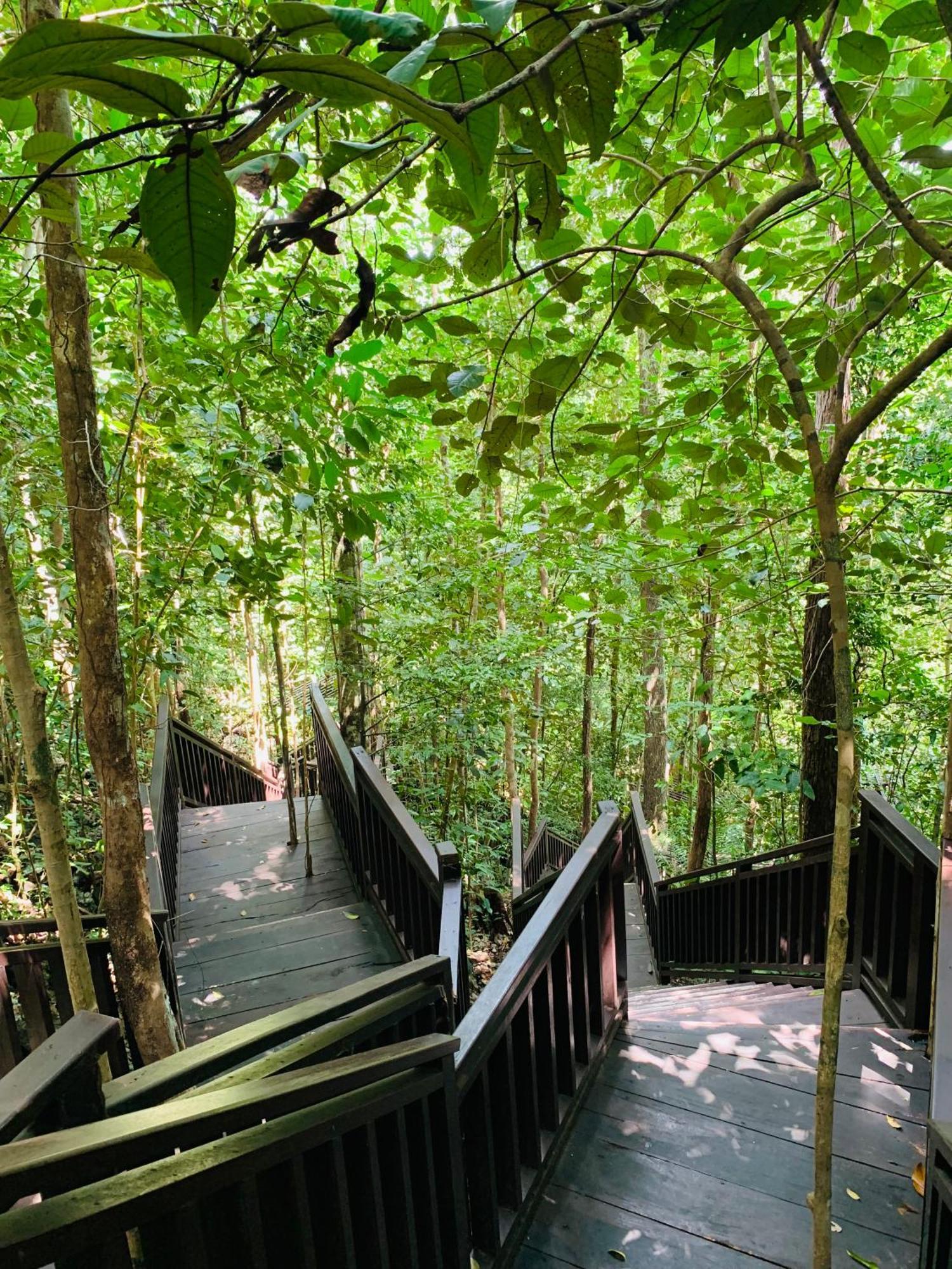Nyanse Homestay - Raja Ampat Besir Esterno foto