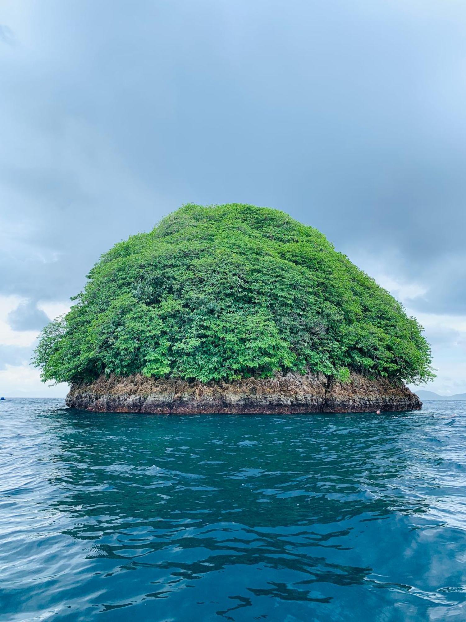 Nyanse Homestay - Raja Ampat Besir Esterno foto