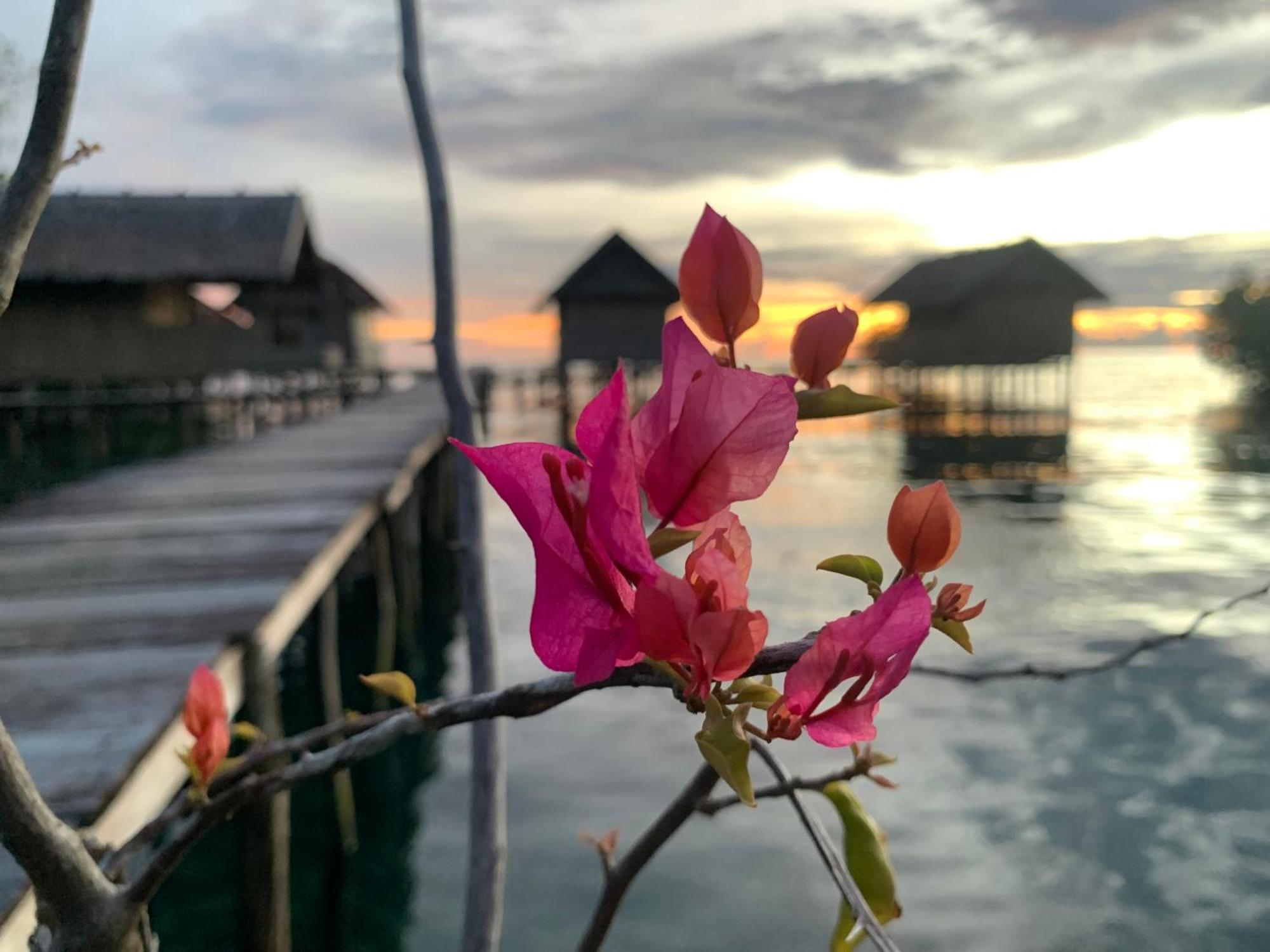 Nyanse Homestay - Raja Ampat Besir Esterno foto